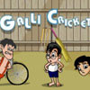 Galli Cricket